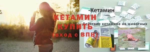 прущие грибы Красноперекопск