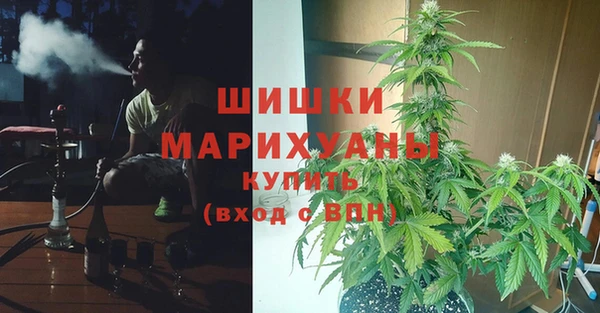мдпв Краснотурьинск