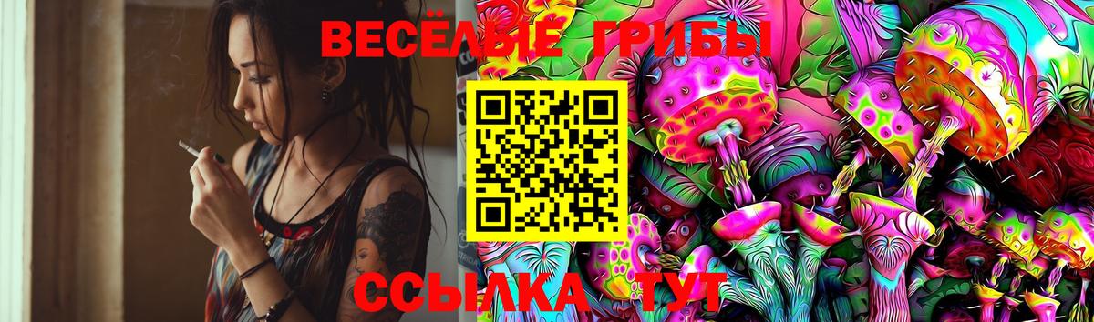Мелеуз  Галлюциногенные грибы GOLDEN TEACHER  Галлюциногенные грибы Psilocybe  Вход с VPN 